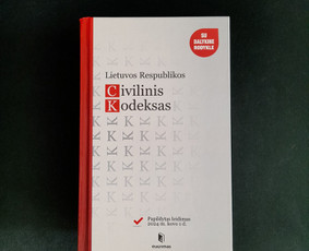 Profesionalios teisinės paslaugos / Rasa Stoškuvienė / Darbų pavyzdys ID 3550597