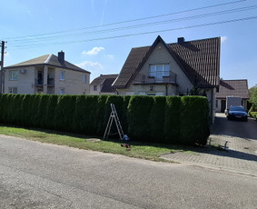 Perkraustymo paslaugos ir ne tik / MB "Laudeira" / Darbų pavyzdys ID 3550709