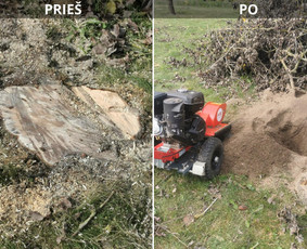 Avarinių medžių pjovimo paslaugos. - Kelmų naikinimas, frezavimas - 1 Kelmų naikinimas, frezavimas - Avarinių medžių pjovimo paslaugos. - 1