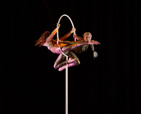 Pole Dance ir Oro Akrobatikos Šou / MB pole sporto akademija / Darbų pavyzdys ID 3552279