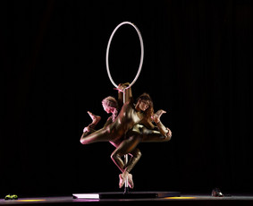 Pole Dance ir Oro Akrobatikos Šou / MB pole sporto akademija / Darbų pavyzdys ID 3552281