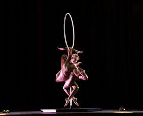 Pole Dance ir Oro Akrobatikos Šou / MB pole sporto akademija / Darbų pavyzdys ID 3552283