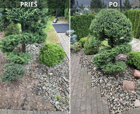 Aplinkos tvarkymas, apželdinimas / Darius Rupšlaukis / Darbų pavyzdys ID 3553667