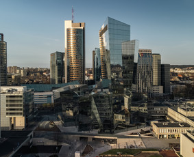 Egidijus Mileris / Egidijus Mileris / Darbų pavyzdys ID 3553717