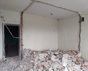 Griovimo darbai šiukšliu išvežimas / Audrius / Darbų pavyzdys ID 3553897