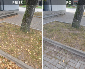 Žolės pjovimas ir kiti aplinkos tvarkymo darbai. - Aplinkos tvarkymas, apželdinimas - 3 Aplinkos tvarkymas, apželdinimas - Žolės pjovimas ir kiti aplinkos tvarkymo darbai. - 3