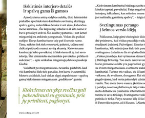 Straipsniai, tekstai tinklapiams, Seo tekstai, redagavimas / Silvija Aksiutinaitė / Darbų pavyzdys ID 3555471