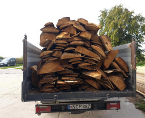 Ąžuolo atraižos - Aplinka, sodas - 2 Aplinka, sodas - Ąžuolo atraižos - 2