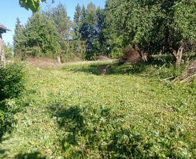 Apleistu sklypu tvarkymas, žoles pjovimas, griovimo darbai. / Edvinas / Darbų pavyzdys ID 3555731