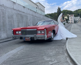 Retro ride Cadillac nuoma / Retro Ride / Darbų pavyzdys ID 3557105