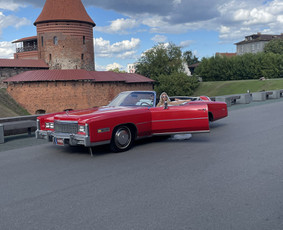 Retro ride Cadillac nuoma / Retro Ride / Darbų pavyzdys ID 3557097