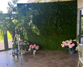 Foto sienelės nuoma - Augalų menas - dekoras ir žalioji interjero estetika - 1