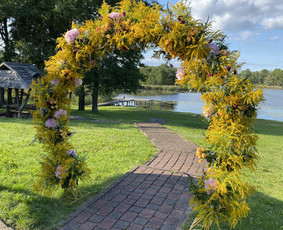 Arkos nuoma - Augalų menas - dekoras ir žalioji interjero estetika - 4