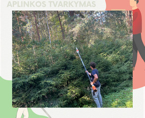 Pervežimo, perkraustymo ir valymo paslaugos Lietuvoje / Aurimas Bilius / Darbų pavyzdys ID 3559579
