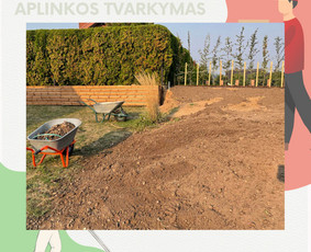 Pervežimo, perkraustymo ir valymo paslaugos Lietuvoje / Aurimas Bilius / Darbų pavyzdys ID 3559581