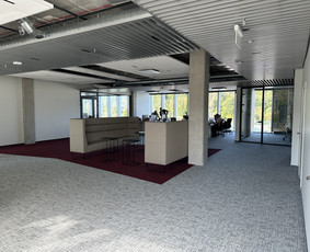 24/7 Perkraustymo paslaugos, baldų/šiukšlių utilizavimas / 2 Draugai veža / Darbų pavyzdys ID 3561131