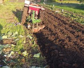 Aplinka, sodas - Žolės, pievų pjovimas,mulčiavimas. - 1