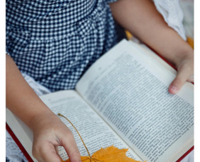 Renginiai, šventės - Fotografavimas, renginių filmavimas, fotoknygų kūrima - 4