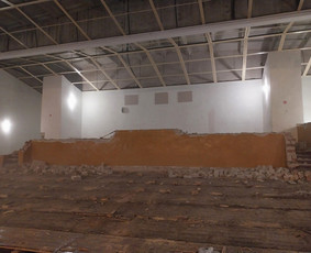 Griovimo darbai šiukšliu išvežimas / Audrius / Darbų pavyzdys ID 3563357