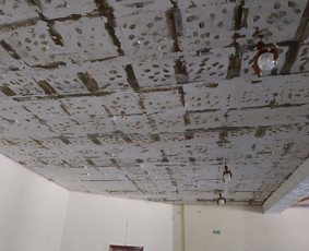 Griovimo darbai šiukšliu išvežimas / Audrius / Darbų pavyzdys ID 3563371