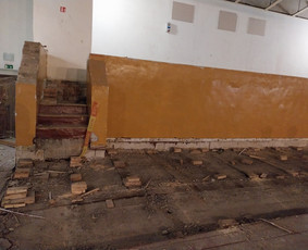 Griovimo darbai šiukšliu išvežimas / Audrius / Darbų pavyzdys ID 3563385
