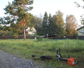 Vaismedžių/medžių genėjimas, gyvatvorių karpymas, šienavimas / Pavelas / Darbų pavyzdys ID 3564267