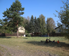 Vaismedžių/medžių genėjimas, gyvatvorių karpymas, šienavimas / Pavelas / Darbų pavyzdys ID 3564269