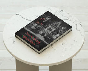 Knygų iliustravimas - Išskirtiniam verslui - išskirtinis dizainas! - 1