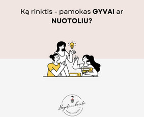 Prancūzų k. kursai grupėse ir individualiai / MB Bagetė ir beretė / Darbų pavyzdys ID 3566521