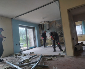 Griovimo demontavimo darbai visoje Lietuvoje / Lukas Majauskas / Darbų pavyzdys ID 3568921