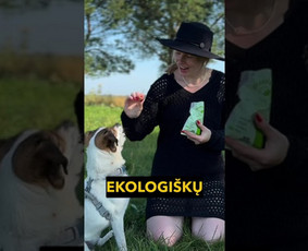 Reels video, Ugc video, socialinių tinklų administravimas / Efektas- Soc. tinklų agentūra / Darbų pavyzdys ID 3571015