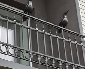 Meninės kalvystės darbai / Giedrius Kalvis / Darbų pavyzdys ID 3572523