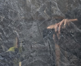 Dekoratyvinis tinkavimas - Dekoravimo paslaugos - 4