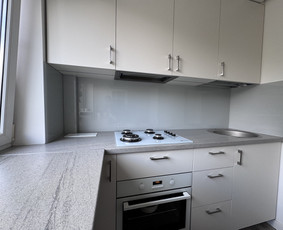 Nestandartinių dušų, led veidrodžių, terasų, stiklinimas. / Meltglas, MB / Darbų pavyzdys ID 3574355