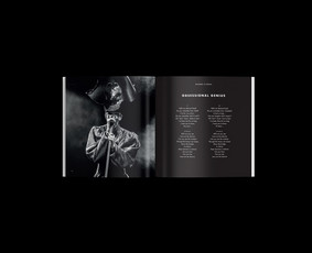 Leidinių maketavimas - Firminis stilius, Logotipai, Maketavimas, Pakuotės - 1