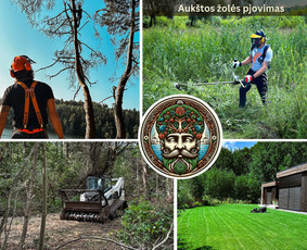 Apleistų sklypų tvarkymas / Žolės Pjovimas / Genėjimas / Žemelės barberis / Darbų pavyzdys ID 3575627