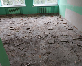Griovimo darbai šiukšliu išvežimas / Audrius / Darbų pavyzdys ID 3576609