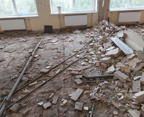 Griovimo darbai šiukšliu išvežimas / Audrius / Darbų pavyzdys ID 3576611