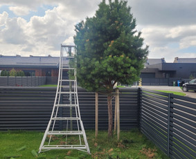 Vejos įrengimas,gėlynų projektavimas, įrengimas - Vaismedžių sodinimas ir priežiūra - 1 Vaismedžių sodinimas ir priežiūra - Vejos įrengimas,gėlynų projektavimas, įrengimas - 1