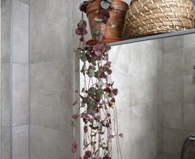 Interjero želdinimas ir kambarinių augalų priežiūra - Vidaus augalų priežiūra - 4 Vidaus augalų priežiūra - Interjero želdinimas ir kambarinių augalų priežiūra - 4