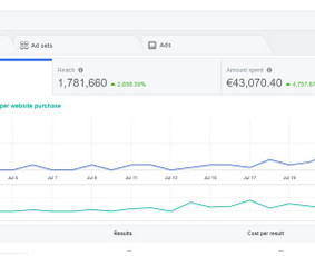 Google, Facebook, Linkedin reklama / strategija / Google, Facebook, Linkedin reklama. / Darbų pavyzdys ID 716127