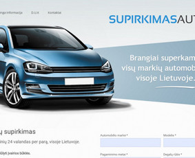 Svetainių ir e parduotuvių kūrimas, reklama / Svetainių kūrimas, priežiūra, reklama / Darbų pavyzdys ID 716177