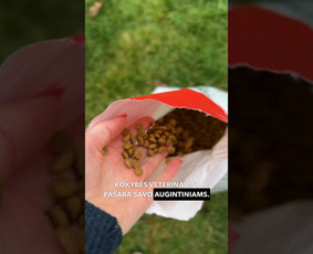 Reels video, Ugc video, socialinių tinklų administravimas / Efektas- Soc. tinklų agentūra / Darbų pavyzdys ID 3579049