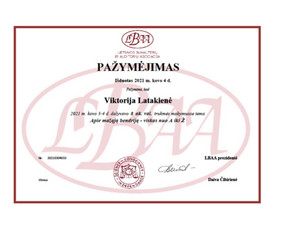 Buhalterinės apskaitos tvarkymo paslaugos - Buhalterinės apskaitos paslaugos - 2 Buhalterinės apskaitos paslaugos - Buhalterinės apskaitos tvarkymo paslaugos - 2