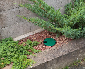 Vejos priežiūra, įrengimas - Nagi ūkvedžio Gerbūvio įrengimas ir priežiūra - 2