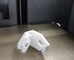 3d spausdinimas Klaipėdoje. / Nerijus L. / Darbų pavyzdys ID 3580733