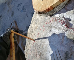 Mb Foxa. Skylių gręžimas , angų pjovimas ir griovimo darbai / Vidas Lapkus / Darbų pavyzdys ID 3582039