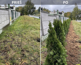 Aplinkos tvarkymas, apželdinimas / Darius Rupšlaukis / Darbų pavyzdys ID 3582545