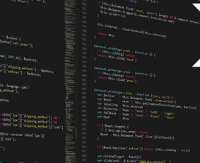 Internetinių svetainių ir el. parduotuvių kūrimas, Seo - Programavimas su WordPress - 1 Programavimas su WordPress - Internetinių svetainių ir el. parduotuvių kūrimas, Seo - 1