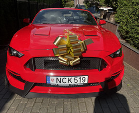 Automobilių Nuoma Vilniuje - Renginiai, šventės - 1 Renginiai, šventės - Automobilių Nuoma Vilniuje - 1